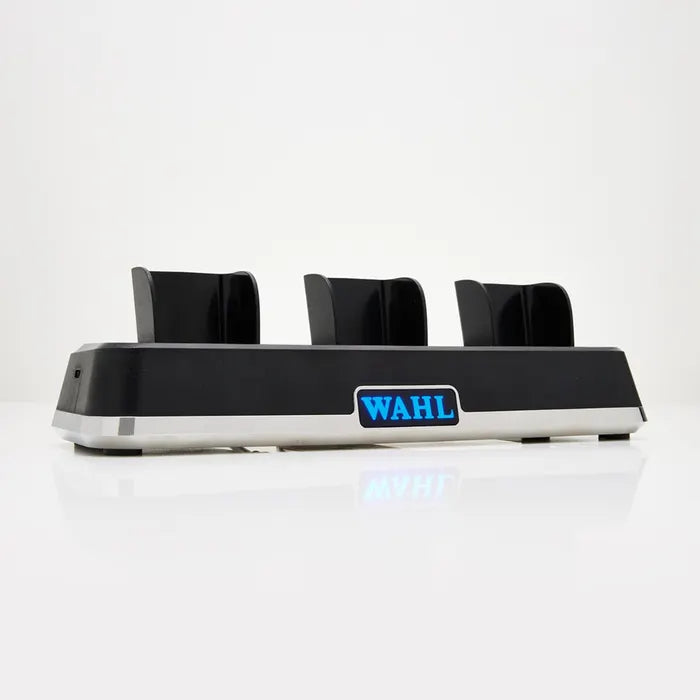 Professional Charging Station - 3023997